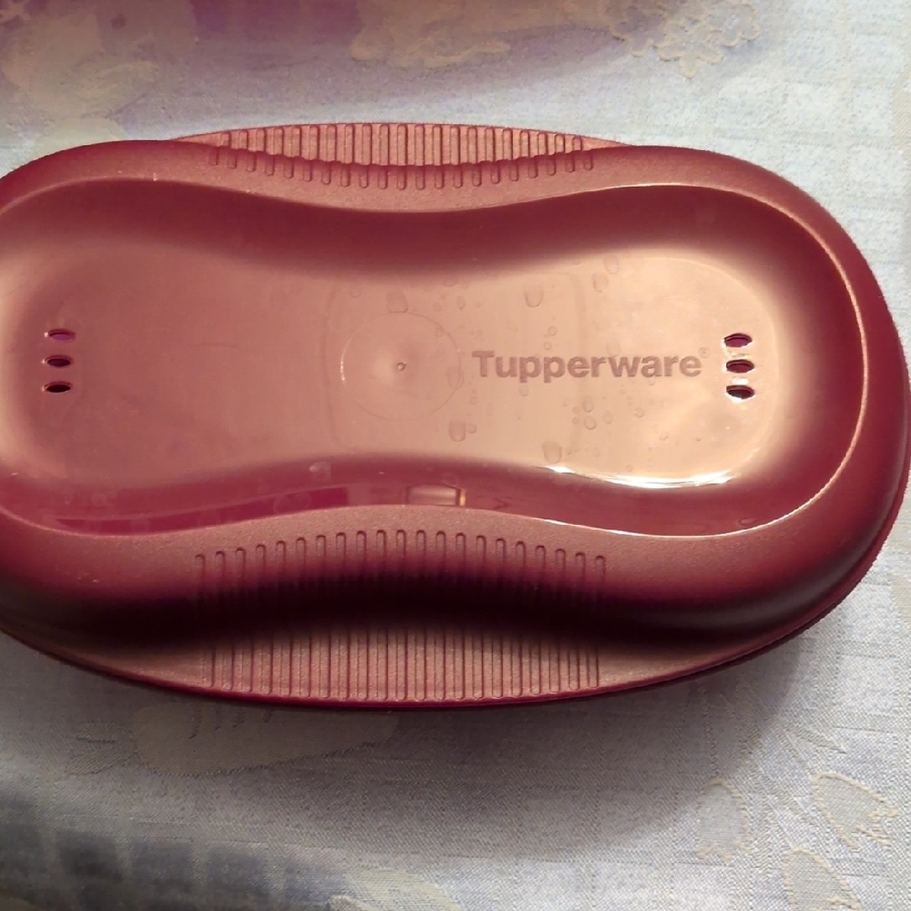 Tupperware Maroon Container